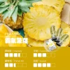ILIA電子煙彈霸气菠萝-1.webp ILIA哩亞一代電子煙煙彈一盒3入【霸氣菠蘿】